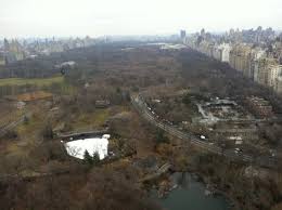 Park Lane Hotel 312 Photos 361 Reviews Hotels 36 Central Park South Midtown West New York Ny Phone Number Yelp