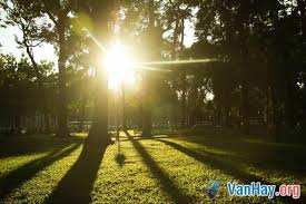 Quê hương đất nước đã chiếm một khoảng rộng trong trái tim tình ...