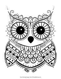 Add these free printable science worksheets and coloring pages to your homeschool day to reinforce science knowledge and to add variety and fun. Cute Owl Coloring Page Free Printable Pdf From Primarygames