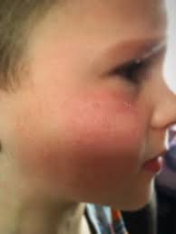 Father's shock as B&M toy helicopter falls from sky and hits five-year-old  son