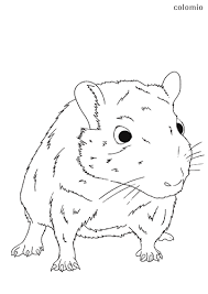 Select from 35428 printable crafts of cartoons, nature, animals, bible and many more. Mice Coloring Pages Free Printable Mouse Coloring Sheets