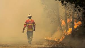 A rápida intervenção dos bombeiros municipais de tavira, com sete elementos apoiados por duas viaturas, impediu a propagação de um. Dois Concelhos Do Distrito De Faro Em Risco Maximo De Incendio Tvi24
