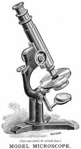 Bausch Lomb Optical Co The Model Microscope Biology Art Antique Illustration Microscopic