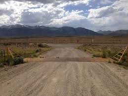 The cylinders bores were attached to the outer case at the 12, 3, 6 and 9 o'clock positions) for greater rigidity around the head gasket. Cattle Grid Wikipedia