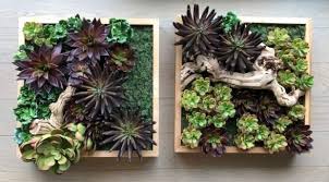 Para que te hagas una idea, lo que tienes que. Como Decorar Con Plantas Colgantes