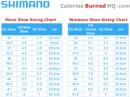 always up to date physical activity calorie chart 2019