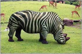 20 Times Animals Turned Into Strange Hybrid Creatures In Photoshop Animals Photoshop Epic Humo Animal Photo Manipulation Weird Animals Photoshopped Animals