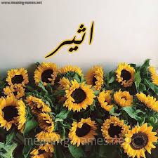 ويُعد المسروري النائب الأول لرئيس مجلس إدارة الاتحاد العماني لكرة. ÙƒÙ„ Ø²Ø®Ø±ÙØ© ÙˆØ­Ø±ÙˆÙ Ø§Ø«ÙŠØ± Ø²Ø®Ø±ÙØ© Ø£Ø³Ù…Ø§Ø¡ ÙƒÙˆÙ„