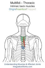 Pin On Trigger Points