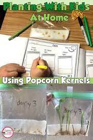 How To Do Project Based Learning With Plants Special Treat Friday In 2021 Plant Lessons 2nd Grade Science Projects Science Activities For Kids