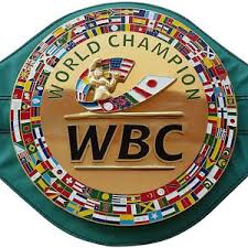 Image result for WBC