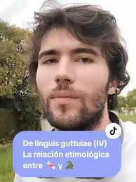 Cocodrilo Cocodra Significado En Italiano