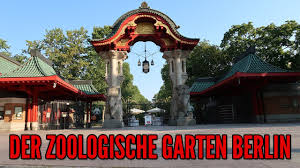 Die zoo stiftung berlin kämpft für den weltweiten artenschutz. Der Zoologische Garten Berlin Meine Tour Durch Den Zoo Der Artenreichste Zoo Der Welt Youtube