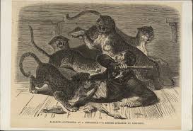 Zoo Zoos — Google Arts & Culture