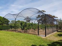 Nearly all fruit trees require plenty of sun but by carefully scouring. 15 Best Fruit Tree Cover Ideas Bird Netting Fruit Trees Fruit Cage
