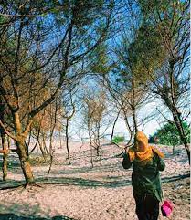 Pemandangan pertama yang kamu dapatkan ketika masuk ke lokasi pantai cemara sewu ini adalah sebuah gapura sedarhana yang bertugas sebagai. Pantai Cemara Sewu Harga Tiket Masuk Dan Spot Foto Terbaru 2021