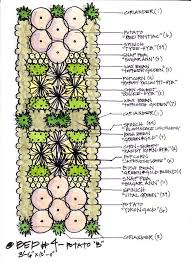 Companion Plant Layout Garden Biointensive Gardening