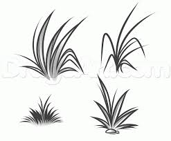 How To Draw Grass Grass Drawing Landscape Drawings Cool Landscapes