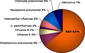 Aetiological role of common respiratory viruses in acute lower respiratory infections in children under five years: Respiratory Syncytial Virus Infection And Bronchiolitis American Academy Of Pediatrics