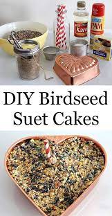 Diy Birdseed Suet Cakes Suet Cakes Bird Cakes Bird Seed