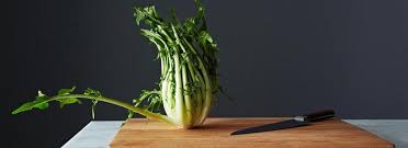 Check spelling or type a new query. Come Cucinare Le Puntarelle Misya Info