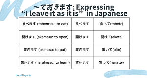 ておきます: Expressing “I leave it as it is” in Japanese