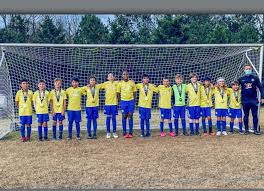 In this system, a competitor has to challenge the current champion to win the championship. Newnan Youth Team Takes Championship In Soccer Tournament The Newnan Times Herald