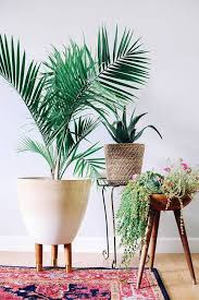 Other interior update ideas is your home's hardware. Home Decor Living Room Living Room Updates White Vignette With Potted Plants Decor Object Your Daily Dose Of Best Home Decorating Ideas Interior Design Inspiration