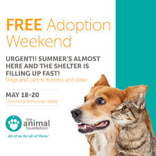 Petco pet stores in las vegas, nv offer a wide selection of top quality products to meet the needs of a variety of pets. Animal Foundation On Twitter Special Free Adoption Weekend Animalfndlv Is Offering This Promotion To Help Cats And Dogs Six Months Find Their Forever Homes Visit Us At 655 North Mojave Road A