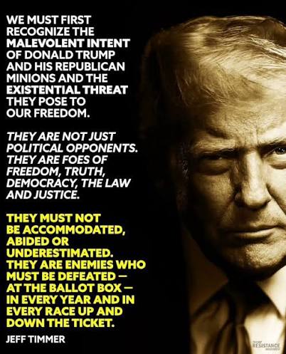 In our name, President Trump is threatening to wipe out 93 million people. He is unwell and must resign or be removed from office immediately. If Republicans won't grow a spine and