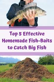 Check spelling or type a new query. Smart Fishermen Thesmartfishermen Profile Pinterest