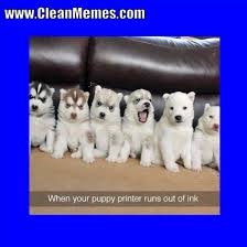 Help ❤ shine24h ❤ reach goal of 1000 subscriber : March 21 2018 Clean Memes
