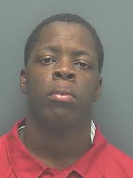 Lee County Arrests 11/10