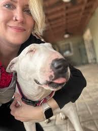 I was tempted to lay around the house with June Bug but I had this need to  satisfy my thirst for a beautiful picture of my Mathews 🐾