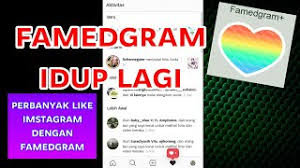 Download famedgram apk 2021 · famedgram is an android application that will take you to stardom turning your into an influencer by increasing . Best Of Famedgram Apk Free Watch Download Todaypk