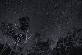 Gambar hitam putih alam semesta. Wallpaper Langit Suasana Hitam Dan Putih Fotografi Monokrom Kegelapan Obyek Astronomi Bintang Atmosfer Bumi Satu Warna Pohon Ruang Stock Photography Tengah Malam Fenomena Meteorologi Wallpaper Komputer Pemandangan Alam Semesta