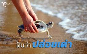 dream meanning ทำนายฝ น ฝ นว าปล อยเต า