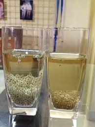 Awalnya saya pikir chia seed sama dengan biji selasih karena bentuknya yang mirip. What Is Chia Seed Called In Nepali Quora