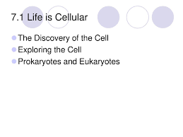 New cells are produced fromexisting cells 4. Chapter 7 Cell Structure And Function Ppt Download