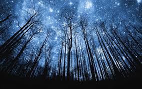Free Download Beautiful Night Sky With Stars And Moon Wallpaper 2560x1600 For Your Desktop Mobile Tablet Explore 49 Beautiful Night Sky Wallpaper Night Sky Wallpaper For Computer Hd Night