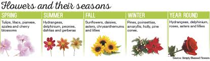 This business listing is provided by Simply Blessed Flowers And Gifts Community Impact