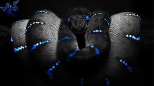 Please contact us if you want to publish a blue razer wallpaper on our site. 30 Razer Blue Wallpapers On Wallpapersafari