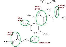 The Derivatives Of Hydrocarbons Organic Compounds Which Are Having A Substituted Group Replaced Hydrogen S And Organic Chemistry Functional Group Chemistry