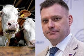 Žena sa vybrala na prechádzku so psami: Stačil moment a prišlo utrpenie  dlhé 14 hodín