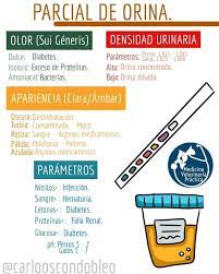 9/12/2020 3.2 examen parcial 1: Parcial De Orina Medicina Veterinaria Practica Facebook