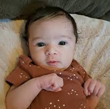 Looking for deer meat, duck, anything.