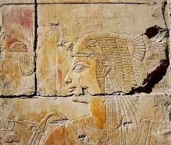 Symbols a acorn the sign of the acorn represents independence, strength and antiquity in its bearer. Polish Egyptian Mission In The Temple Of Hatshepsut At Deir El Bahari Home Facebook