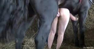 Black stallion puts that huge cock in her vagina