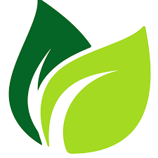 Image Result For Leaf Vector Daun Desain Seni