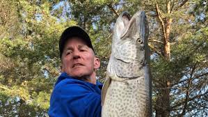 These fish live in lakes that are frequently thousands of because muskies have such sharp teeth, connect the main line to the lure with either a steel or. Brussels Fisherman Battles Cancer Then Lands Huge Muskie On Green Bay